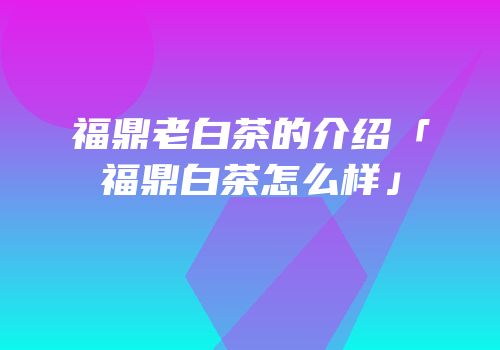 福鼎老白茶的介绍「福鼎白茶怎么样」