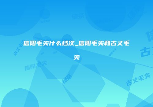 信阳毛尖什么档次_信阳毛尖和古丈毛尖