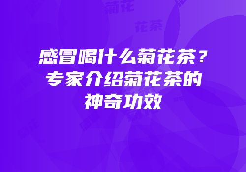 感冒喝什么菊花茶？专家介绍菊花茶的神奇功效