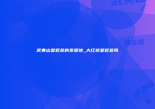 武夷山是岩茶的发源地_大红袍是岩茶吗