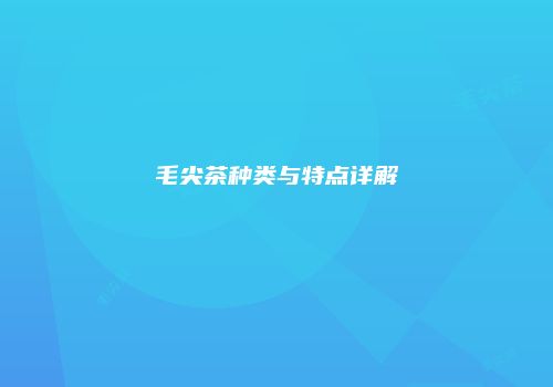 毛尖茶种类与特点详解