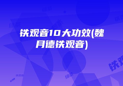 铁观音10大功效(魏月德铁观音)