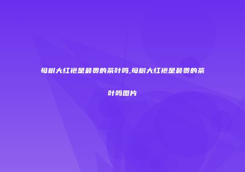 母树大红袍是最贵的茶叶吗,母树大红袍是最贵的茶叶吗图片