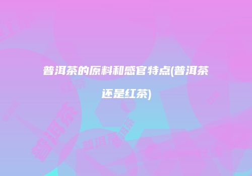 普洱茶的原料和感官特点(普洱茶还是红茶)