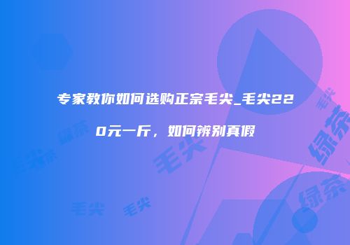 专家教你如何选购正宗毛尖_毛尖220元一斤，如何辨别真假
