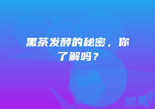 黑茶发酵的秘密，你了解吗？