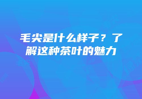 毛尖是什么样子？了解这种茶叶的魅力
