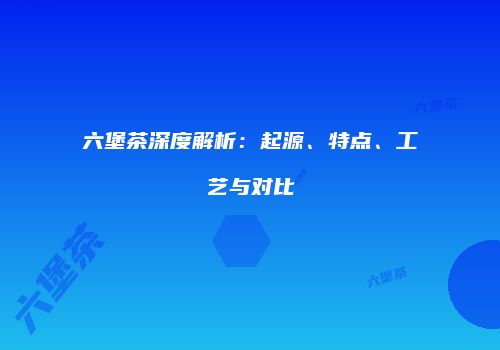 六堡茶深度解析：起源、特点、工艺与对比
