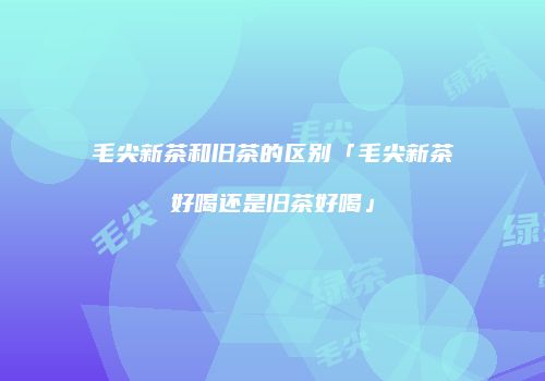 毛尖新茶和旧茶的区别「毛尖新茶好喝还是旧茶好喝」