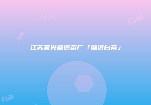 江苏宜兴盛道茶厂「盛道白茶」