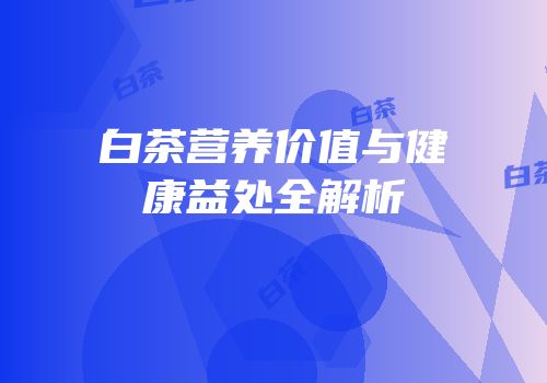 白茶营养价值与健康益处全解析