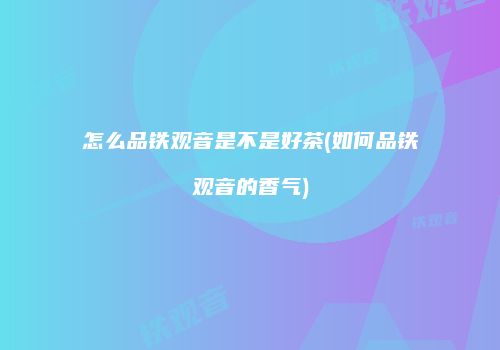 怎么品铁观音是不是好茶(如何品铁观音的香气)