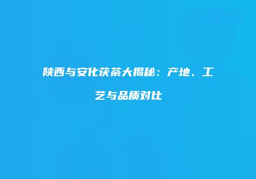 陕西与安化茯茶大揭秘：产地、工艺与品质对比