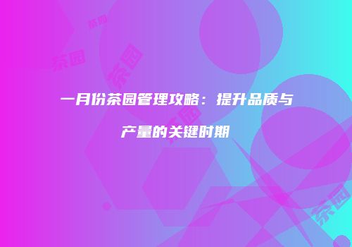 一月份茶园管理攻略：提升品质与产量的关键时期