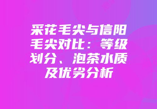 采花毛尖与信阳毛尖对比：等级划分、泡茶水质及优劣分析