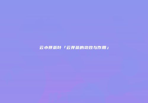 云小芽茶叶「云芽茶的功效与作用」