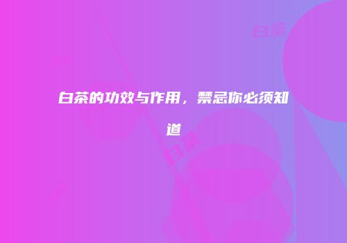 白茶的功效与作用，禁忌你必须知道