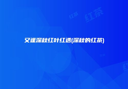 又逢深秋红叶红透(深秋的红茶)