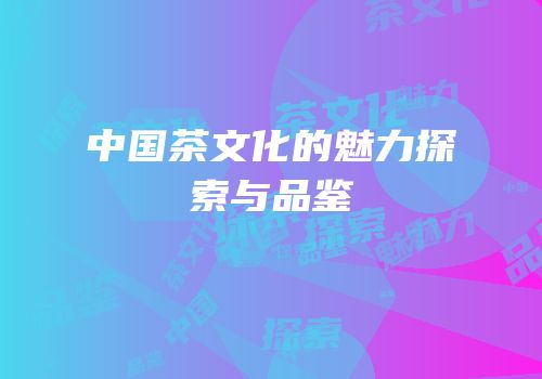 中国茶文化的魅力探索与品鉴