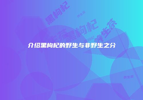 介绍黑枸杞的野生与非野生之分