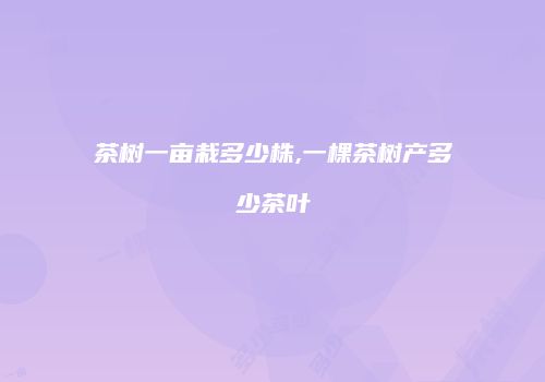 茶树一亩栽多少株,一棵茶树产多少茶叶