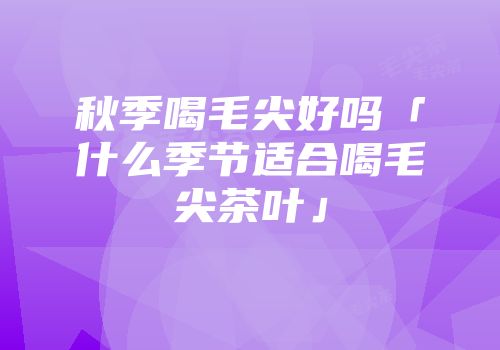秋季喝毛尖好吗「什么季节适合喝毛尖茶叶」