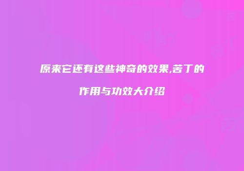 原来它还有这些神奇的效果,苦丁的作用与功效大介绍