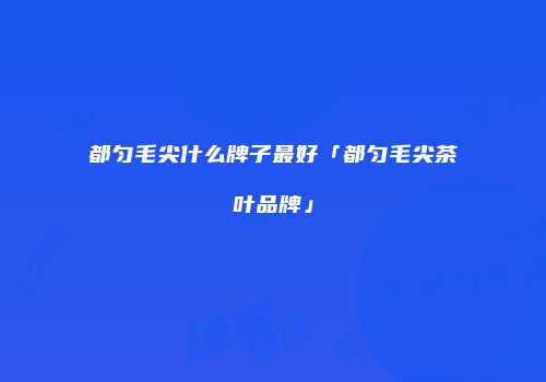 都匀毛尖什么牌子最好「都匀毛尖茶叶品牌」