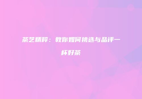 茶艺精粹：教你如何挑选与品评一杯好茶