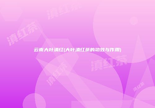 云南大叶滇红(大叶滇红茶的功效与作用)