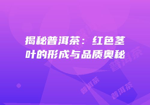 揭秘普洱茶：红色茎叶的形成与品质奥秘