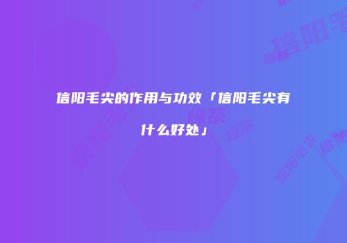 信阳毛尖的作用与功效「信阳毛尖有什么好处」
