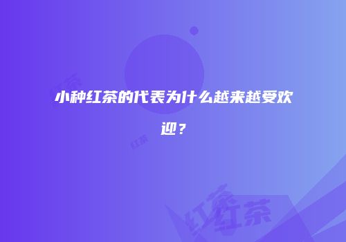 小种红茶的代表为什么越来越受欢迎？