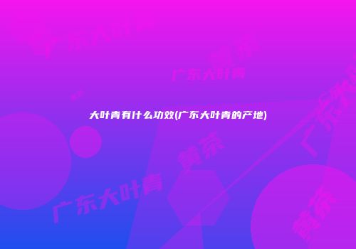 大叶青有什么功效(广东大叶青的产地)