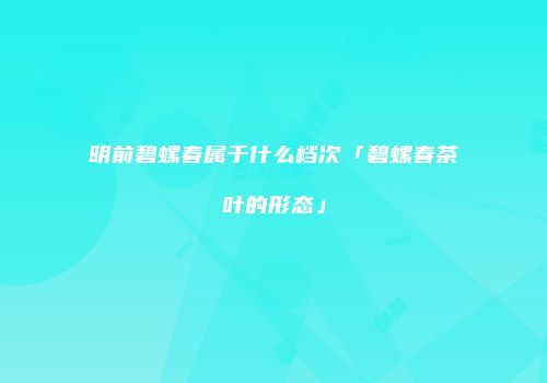 明前碧螺春属于什么档次「碧螺春茶叶的形态」