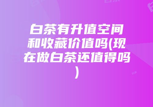 白茶有升值空间和收藏价值吗(现在做白茶还值得吗)