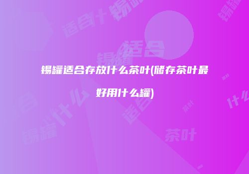 锡罐适合存放什么茶叶(储存茶叶最好用什么罐)
