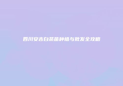 四川安吉白茶苗种植与批发全攻略