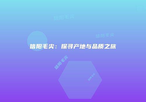 信阳毛尖：探寻产地与品质之旅