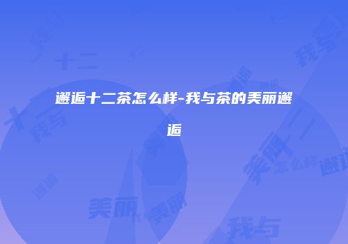 邂逅十二茶怎么样-我与茶的美丽邂逅