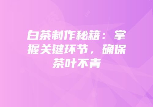 白茶制作秘籍：掌握关键环节，确保茶叶不青