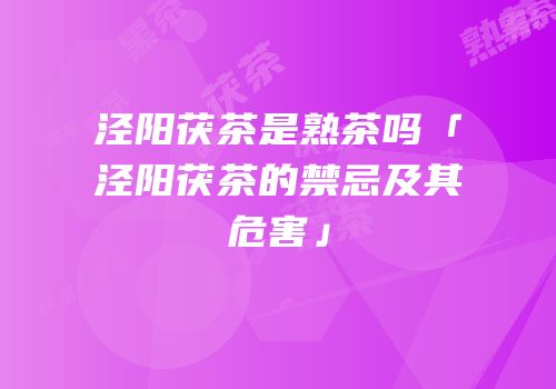 泾阳茯茶是熟茶吗「泾阳茯茶的禁忌及其危害」