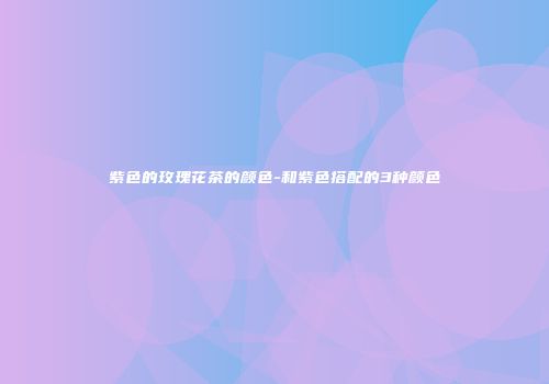 紫色的玫瑰花茶的颜色-和紫色搭配的3种颜色