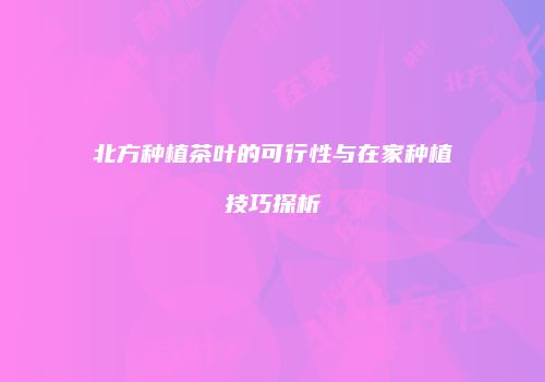 北方种植茶叶的可行性与在家种植技巧探析