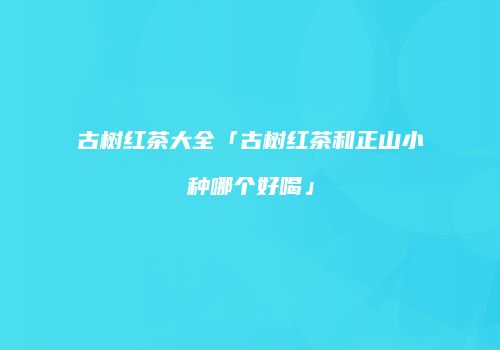 古树红茶大全「古树红茶和正山小种哪个好喝」