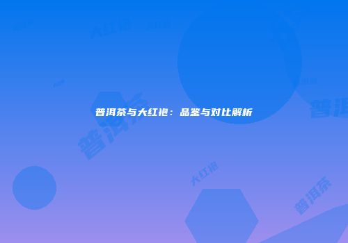 普洱茶与大红袍：品鉴与对比解析