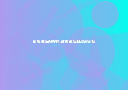 凤凰水仙烟好吗,武夷水仙和凤凰水仙