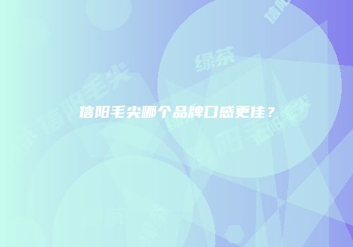 信阳毛尖哪个品牌口感更佳？