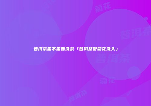 普洱茶需不需要洗茶「普洱茶野菊花洗头」