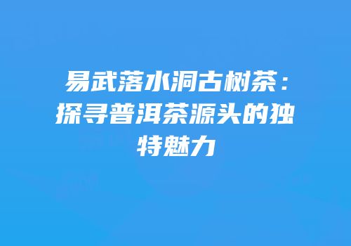 易武落水洞古树茶：探寻普洱茶源头的独特魅力
